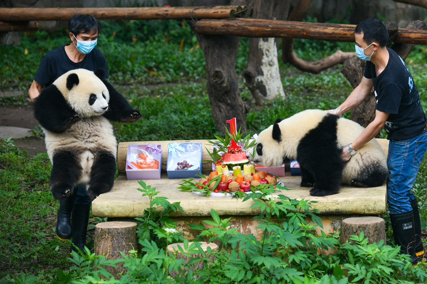 ����؈�����ǡ���������1�q���Օ����u���z