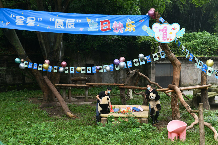 �ؑc����@�����؈�����ǡ����������e�k1�q���Օ����u���z