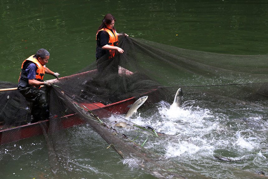 ������������m�����B(t��i)�~(y��)�B(y��ng)ֳ���ز��~(y��)����(y��ng)�Ј�(ch��ng)�������z