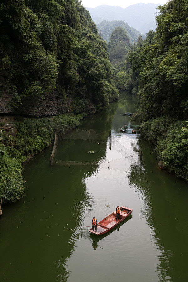 ������������m�����B(t��i)�~�B(y��ng)ֳ���ز鿴���B(t��i)�~�����L��r�������z