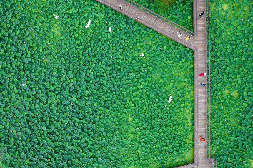 �ؑc����Ϫ���@��(n��i)�ĺ�����ɫ����־��z