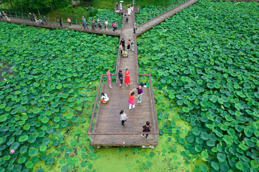 �d�ӵĺ��������ο�ǰ��(l��i)������־��z