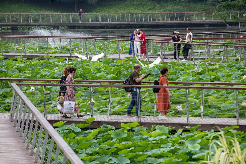 �d�ӵĺ��������ο�ǰ��������־��z