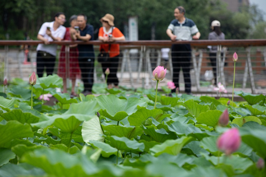 �d�ӵĺ��������ο�ǰ��������־��z