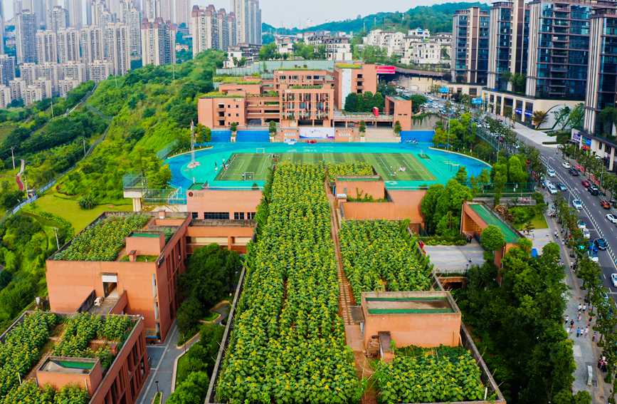 �̌W(xu��)���?sh��)����տ��@���ɽ��^(q��)�Ǻ��W(xu��)У���D