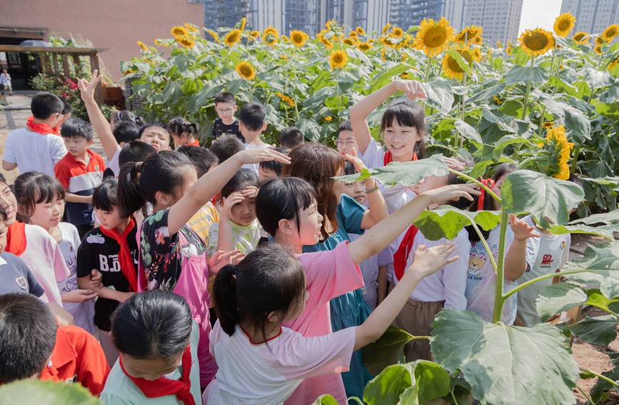 �n�ð��M(j��n)���տ��@���ɽ��^(q��)�Ǻ��W(xu��)У���D