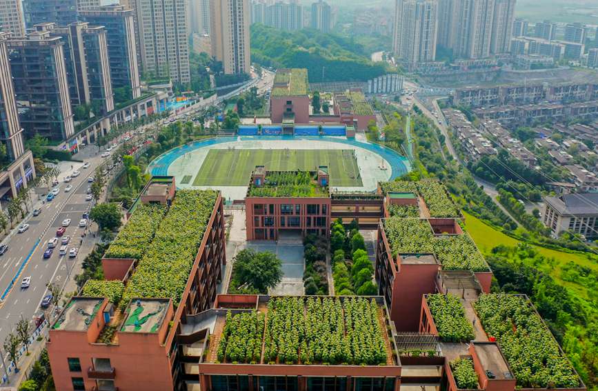 �̌W(xu��)���?sh��)����տ��@���ɽ��^(q��)�Ǻ��W(xu��)У���D