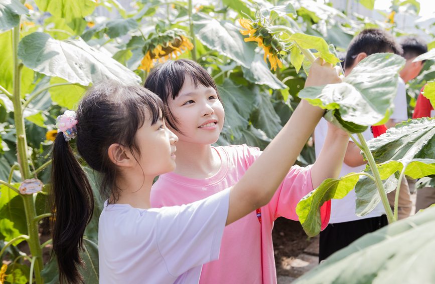 �n�ð��M���տ��@���ɽ��^(q��)�Ǻ��WУ���D