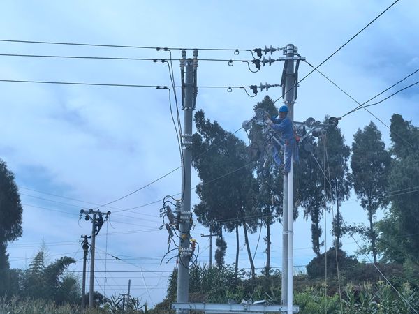 �S�ެF(xi��n)��(ch��ng)�����L��λ���D