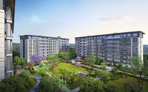 ꃽ��P���W���Ŀ�D��ꃽ��خa���F���D