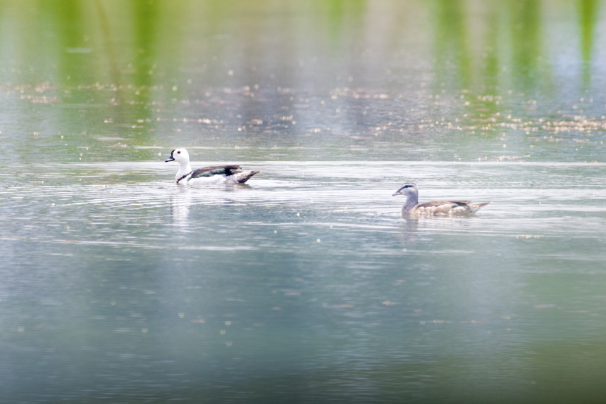 ���Ҷ���(j��)���o(h��)��(d��ng)�����D���p������ҝ�ع��@ˮ���ґ���ˣ�����ȑєz