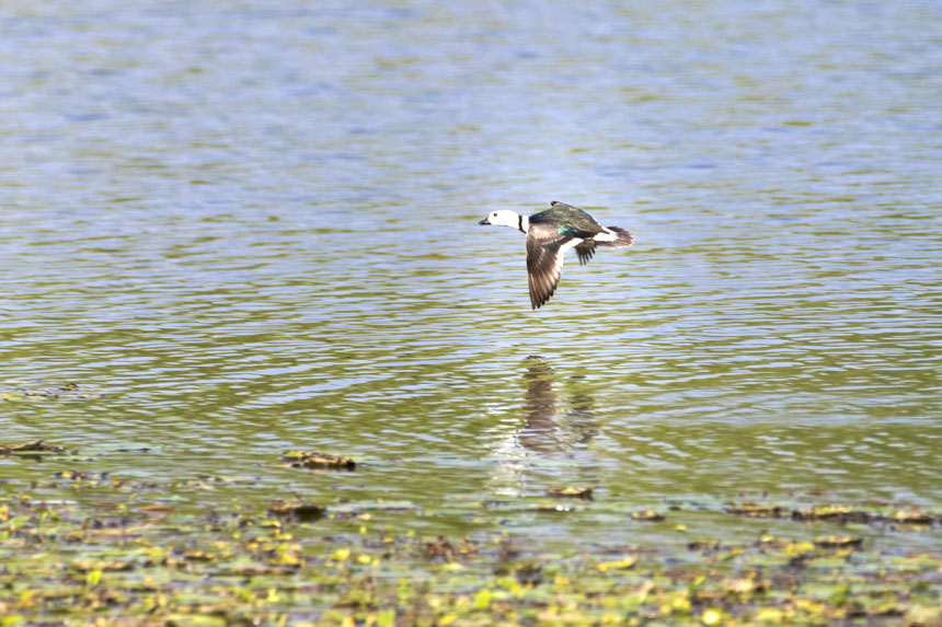 ��(gu��)�Ҷ���(j��)���o(h��)��(d��ng)�����D���p�����(gu��)�ҝ�ع��@ˮ���ґ���ˣ�����ȑєz