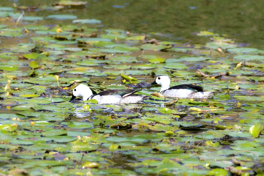 ��(gu��)�Ҷ���(j��)���o(h��)��(d��ng)�����D���p�����(gu��)�ҝ�ع��@����Ⱥ�З�Ϣ��Ғʳ�����ȑєz