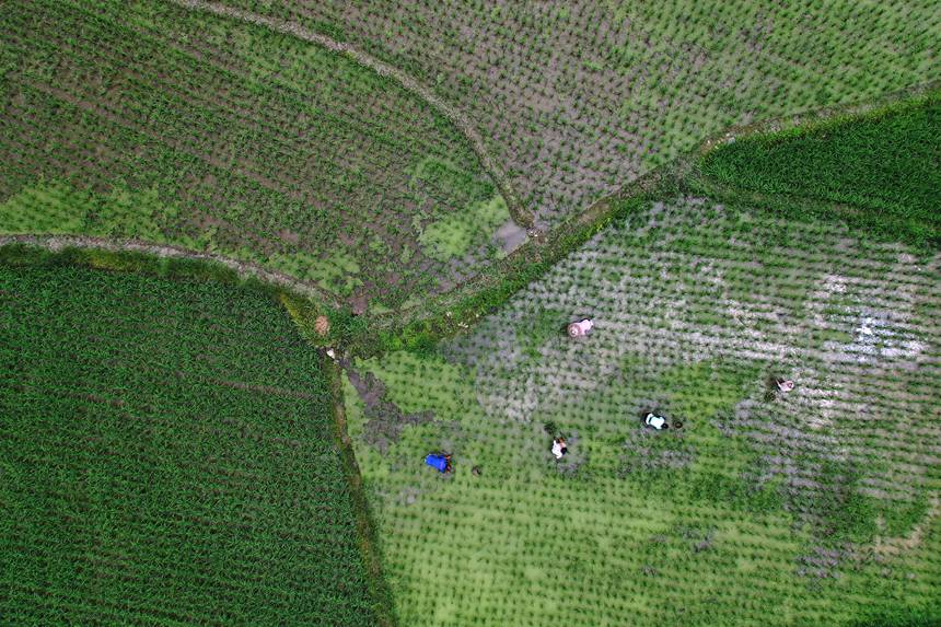 6��21�����ؑc��ǭ���^(q��)�R���(zh��n)ɼ�������ڵ�����޶���������z