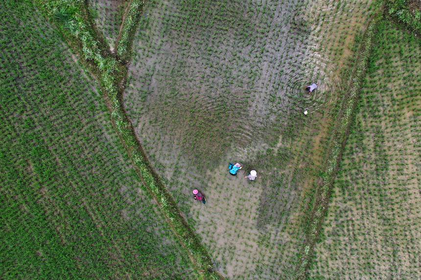 6��21�����ؑc��ǭ���^(q��)�R���(zh��n)ɼ�������ڵ�����޶���������z