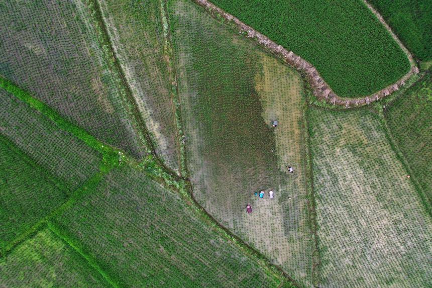 6��21�����ؑc��ǭ���^(q��)�R���(zh��n)ɼ�������ڵ�����޶���������z