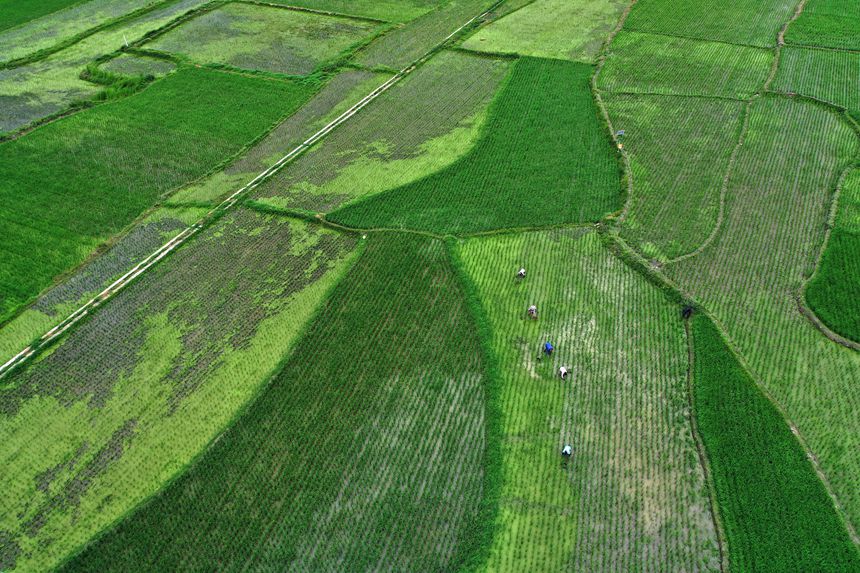 6��21�գ��ؑc��ǭ���^(q��)�R���(zh��n)ɼ�������ڵ�����޶���������z