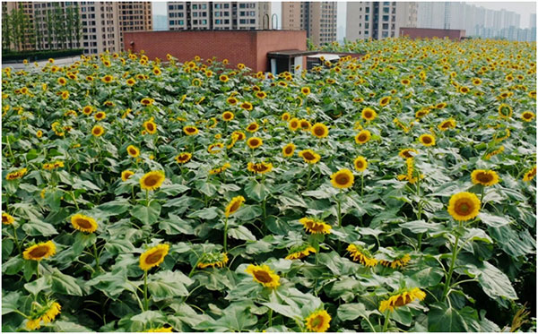 �WУ���?sh��)����տ��@�������z