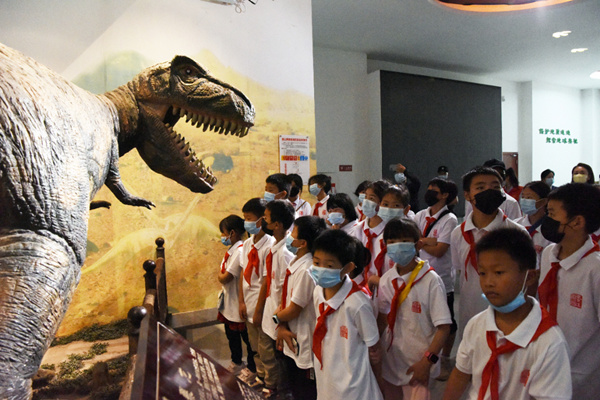 ���ӂ����뽭�����^���^���뽭�^(q��)ί���������D