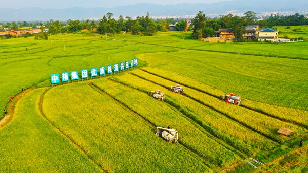 ��ƽ�^(q��)&ldquo;�f(w��n)ʯ����&bull;ǧ������&rdquo;ˮ���Nֲ���ء����x�z