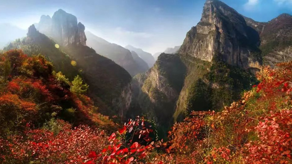 ���{�t�~����ɽ�l(f��)�����D