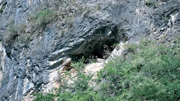 ɽ���ϵđҹ�����һ�Q�z