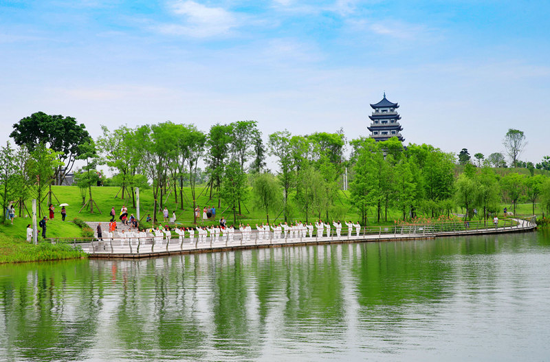 市民在三合湖濕地公園表演太極功夫。黃亞輝攝