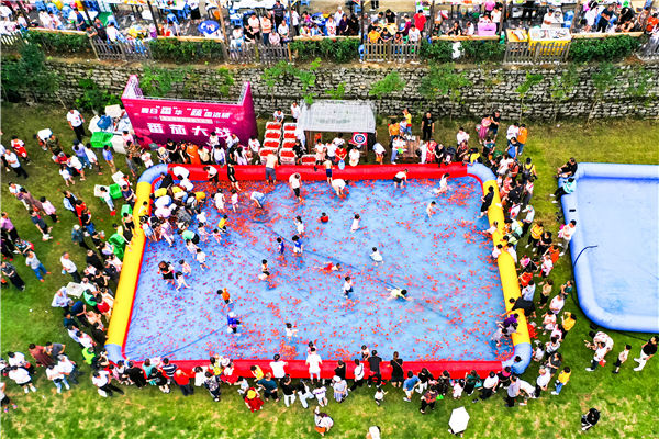 �Y�ψD�����k�����D