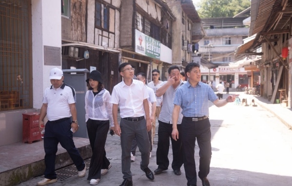 專家們參觀考察。石龍鎮(zhèn)供圖