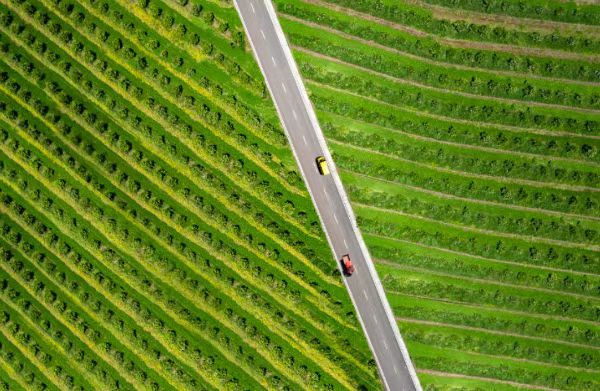 航拍下的無人果園。渝北區(qū)委網(wǎng)信辦供圖