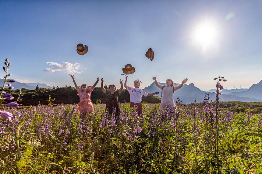 游客在南川山王坪感受涼爽夏日。瞿明斌攝