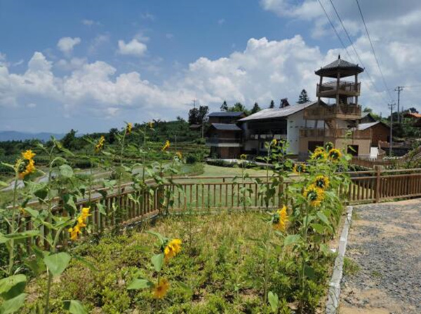 橋頭鎮(zhèn)人居環(huán)境示范點(diǎn)梨家灣。李文萍攝