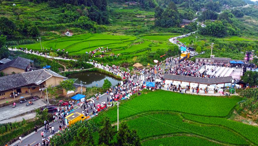 梁平區(qū)“明月之夏·露營蟠龍”首屆美麗鄉(xiāng)村露營節(jié)活動現(xiàn)場。向成國攝