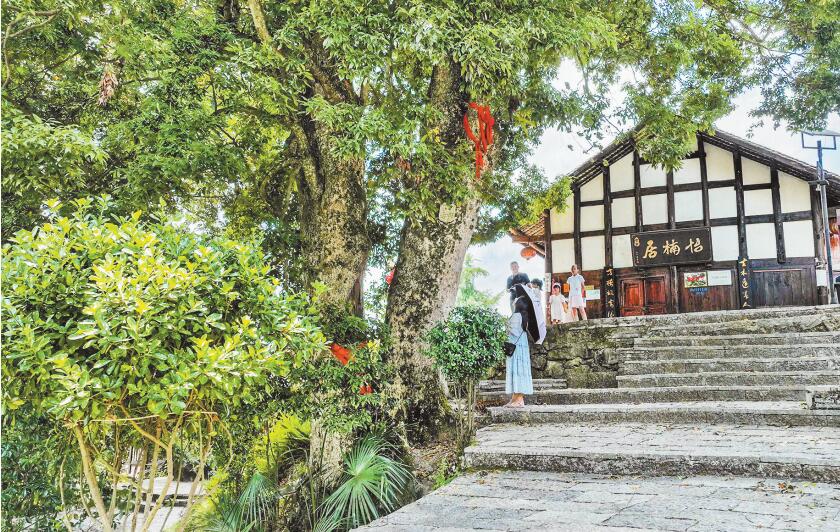 酉陽兩罾鄉(xiāng)內口村獲評“中國千年金絲楠第一村”