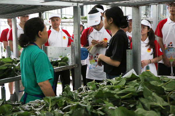 實(shí)踐團(tuán)成員深入養(yǎng)殖場(chǎng)調(diào)研,認(rèn)真記錄。重慶工程職業(yè)技術(shù)學(xué)院供圖