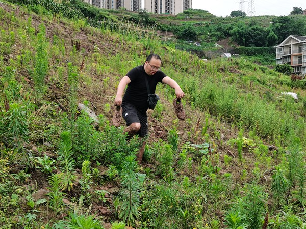 《加強日常隱患巡查，保一方平安》。5月26日，在大渡口區(qū)八橋鎮(zhèn)互助村，大渡口區(qū)駐守地質隊員王璐杰提著沾滿泥土的鞋子，赤腳繼續(xù)開展日常地質災害隱患排查、巡查。石飛攝