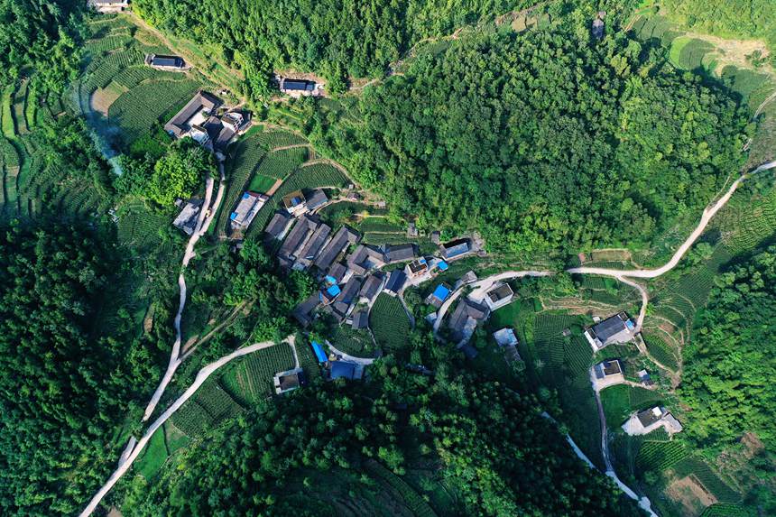 黔江區(qū)阿蓬江鎮(zhèn)青杠村。楊敏攝