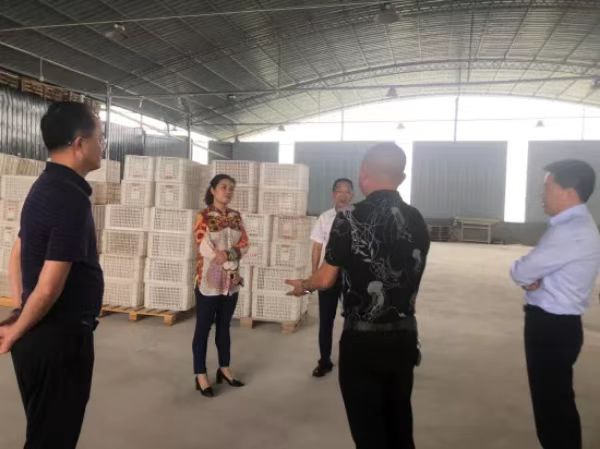 走訪民營企業(yè)。潼南區(qū)委統(tǒng)戰(zhàn)部供圖