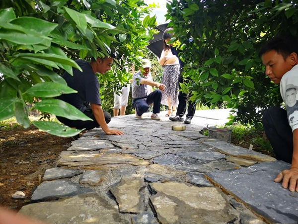 農(nóng)田景觀道路。奉節(jié)縣委宣傳部供圖