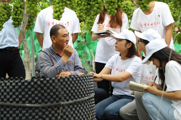 實踐團(tuán)學(xué)習(xí)葡萄種植與管理技術(shù)。重慶師范大學(xué)供圖