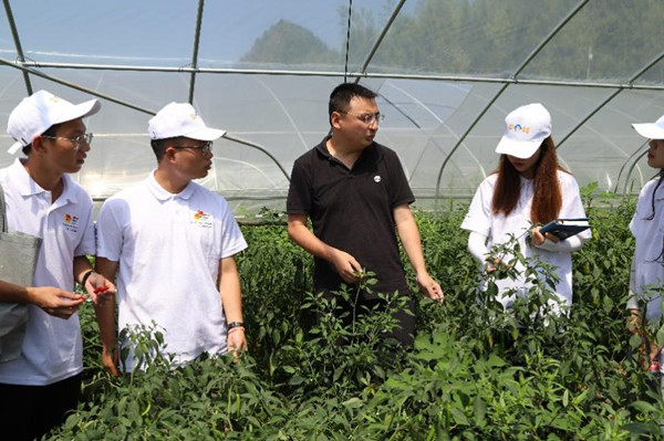 實踐團(tuán)參觀蔬菜大棚。重慶師范大學(xué)供圖