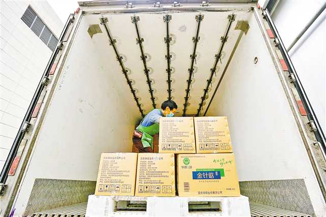 7月31日，萬盛經(jīng)開區(qū)叢林鎮(zhèn)綠水村，工人往冷鏈物流車上裝金針菇。通訊員 王瀘州 攝/視覺重慶