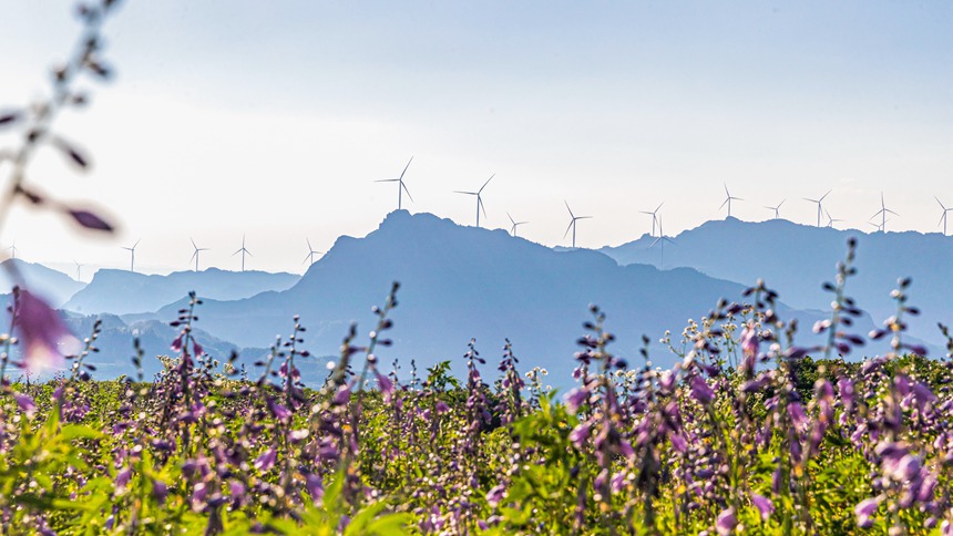 風(fēng)力發(fā)電車迎風(fēng)轉(zhuǎn)動。瞿明斌攝