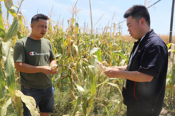 田間地頭開(kāi)展保險(xiǎn)理賠工作。潼南區(qū)委宣傳部供圖