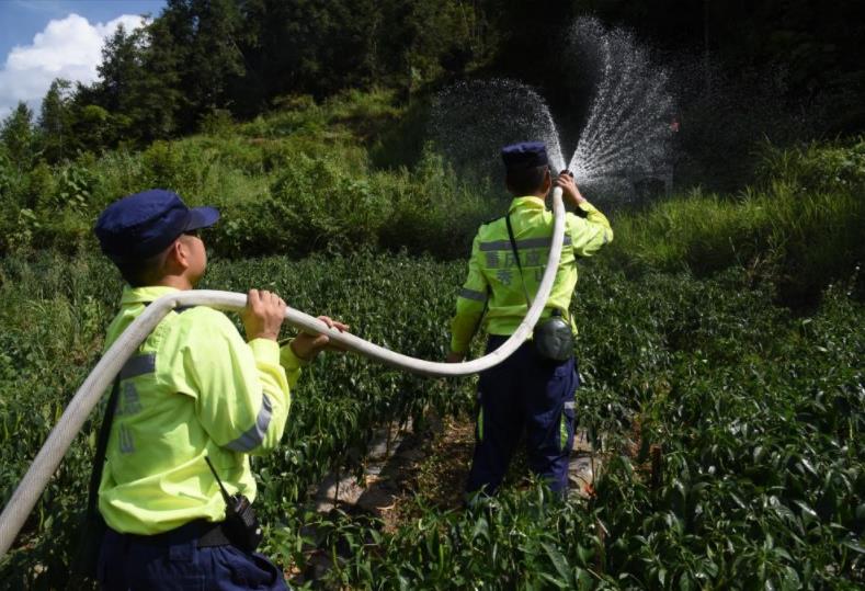 秀山縣應(yīng)急管理局綜合救援隊隊員抽水灌溉辣椒種植基地。任燕攝