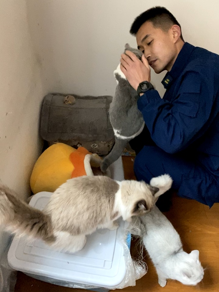 萬(wàn)惠文同志生前收養(yǎng)的3只流浪貓。