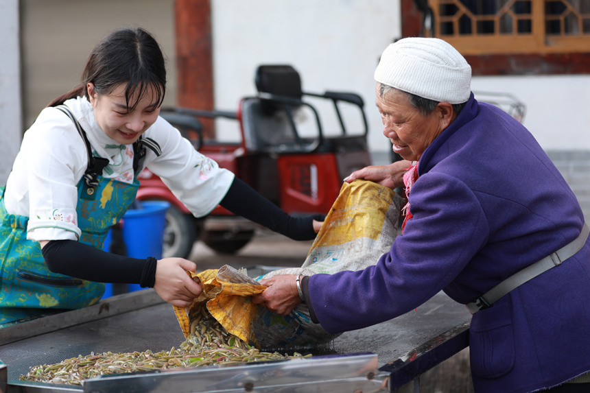 莼菜豐收村民樂(lè)開懷。趙軍攝