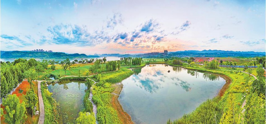 8月16日，廣陽(yáng)島生機(jī)盎然的初秋美景。特約攝影 鐘志兵/視覺(jué)重慶