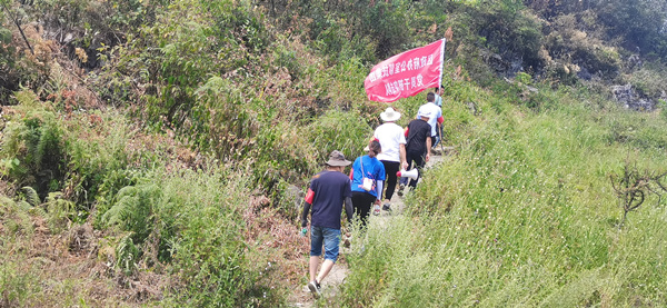 武隆區(qū)政府辦公室?guī)头黾瘓F(tuán)黨員干部突擊隊開展森林防火巡山工作。黃琴攝