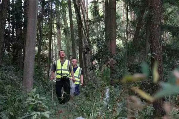 東山林場(chǎng)護(hù)林員開展森林巡查工作。梁平區(qū)融媒體中心供圖